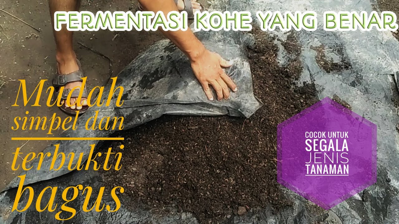 Fermentasi Kohe, Pupuk Fermentasi, Cara Fermentasi