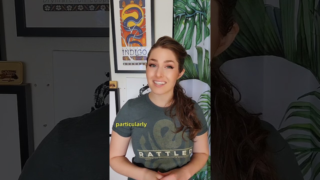 Ask ReptiFiles: Is ventilation important in reptile enclosures?