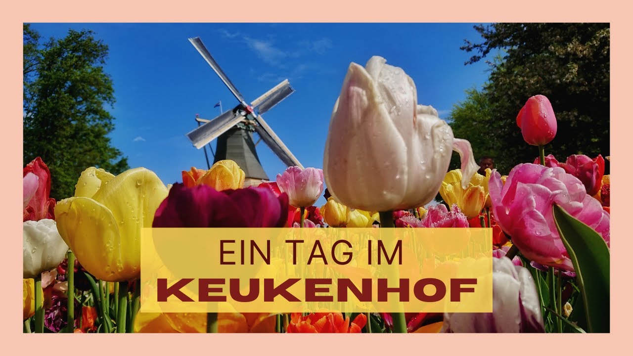 Keukenhof 2019 - Blumengarten / Tulpenpark - Lisse, Niederlande