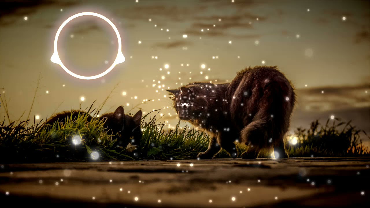 ⚜️ Seum Dero feat  L Y S   - Distance 🎧 {Copyright Free}  🎵