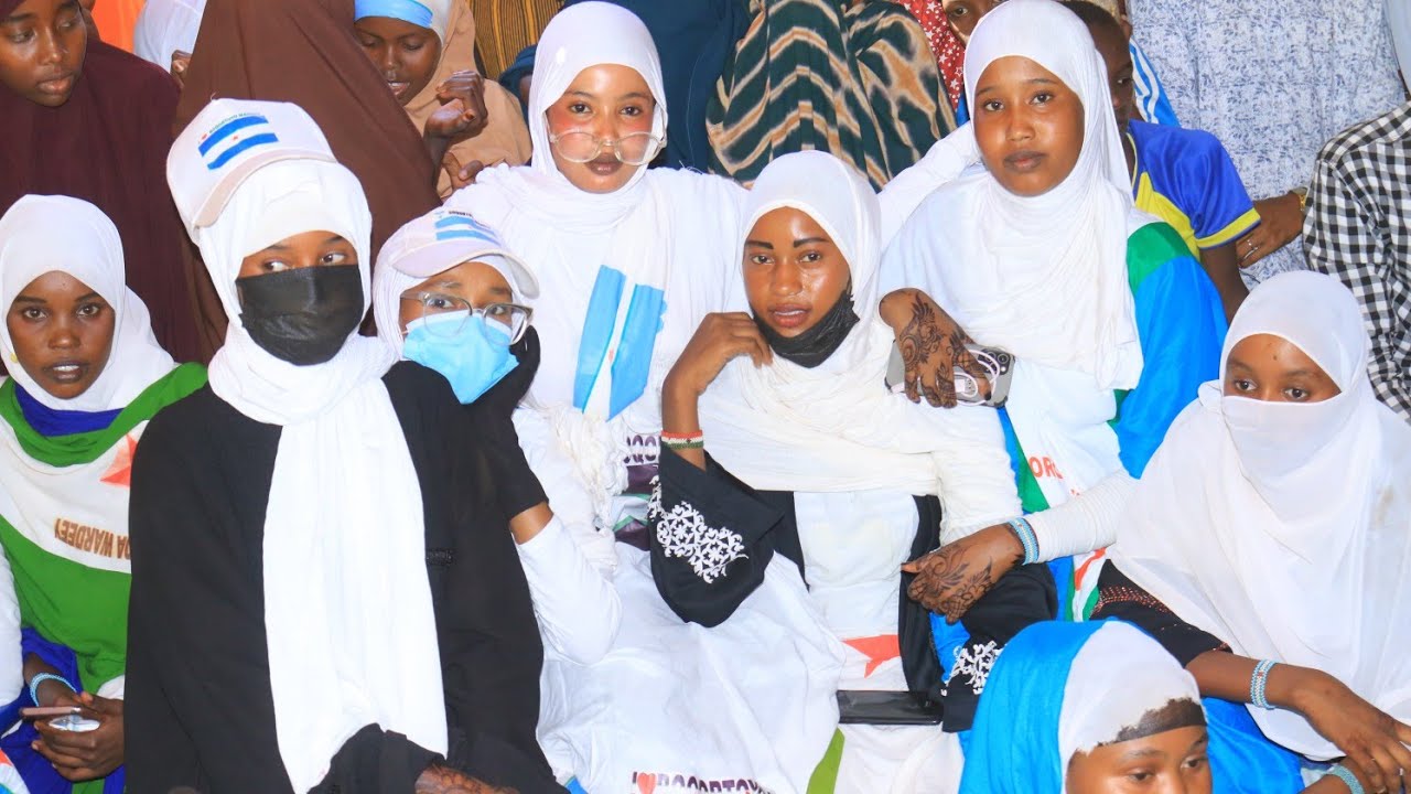 dabaldagii manta besha warday Ali ee xeroyinka dadaab tariq farabadhan oo Laga shekeyay halkan dawo