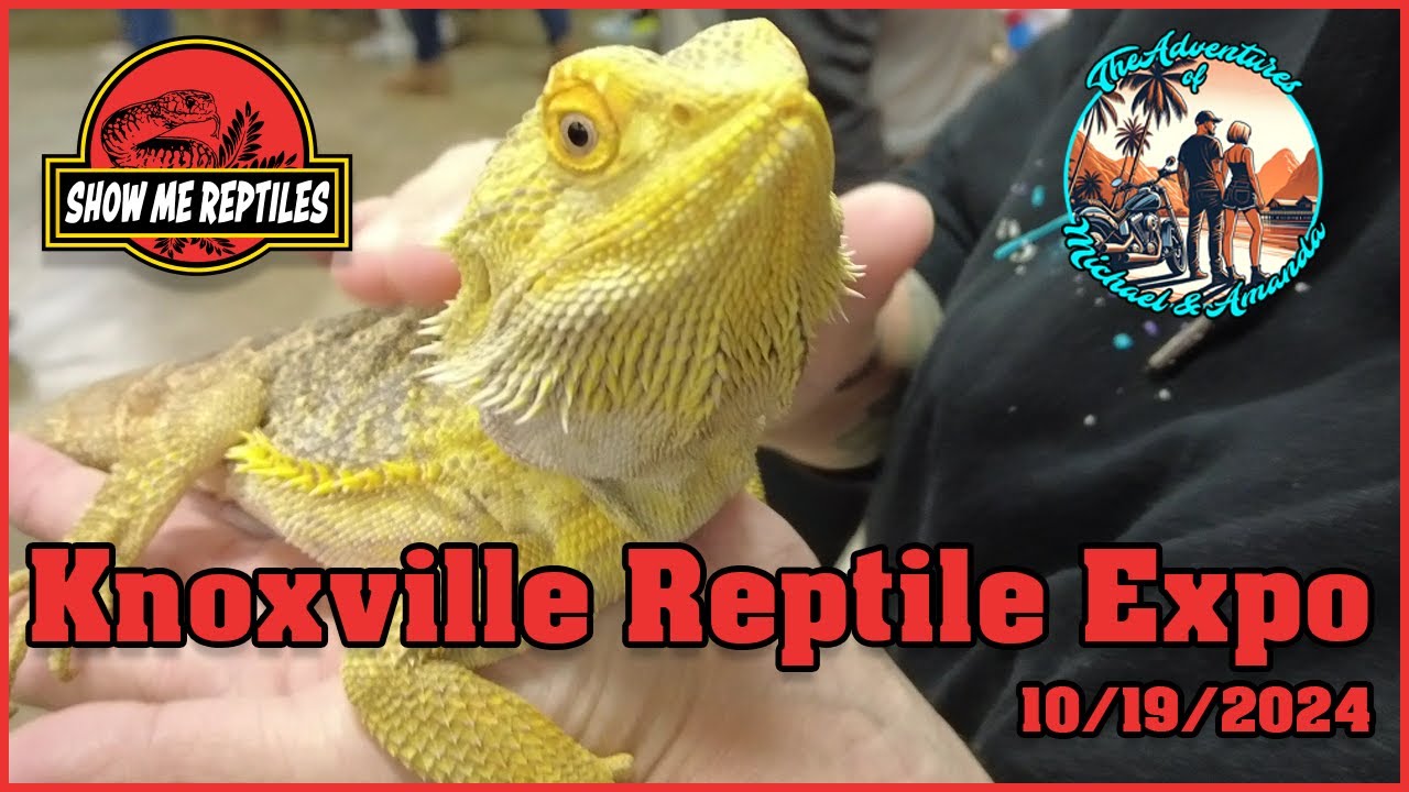 Knoxville Reptile Expo - Show Me Reptiles  10/19/2024