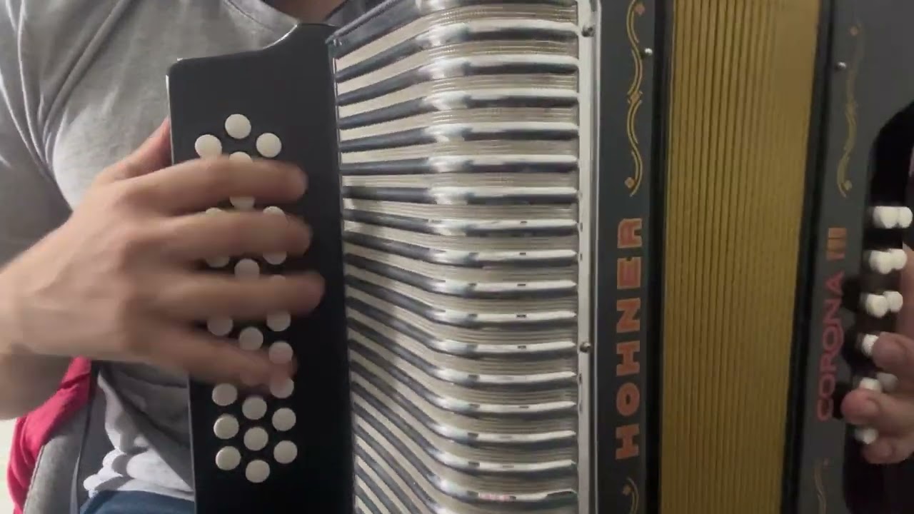 Entre Rejas (Lisandro Meza) | Tutorial Fácil Acordeón Vallenato | Carlos Rey