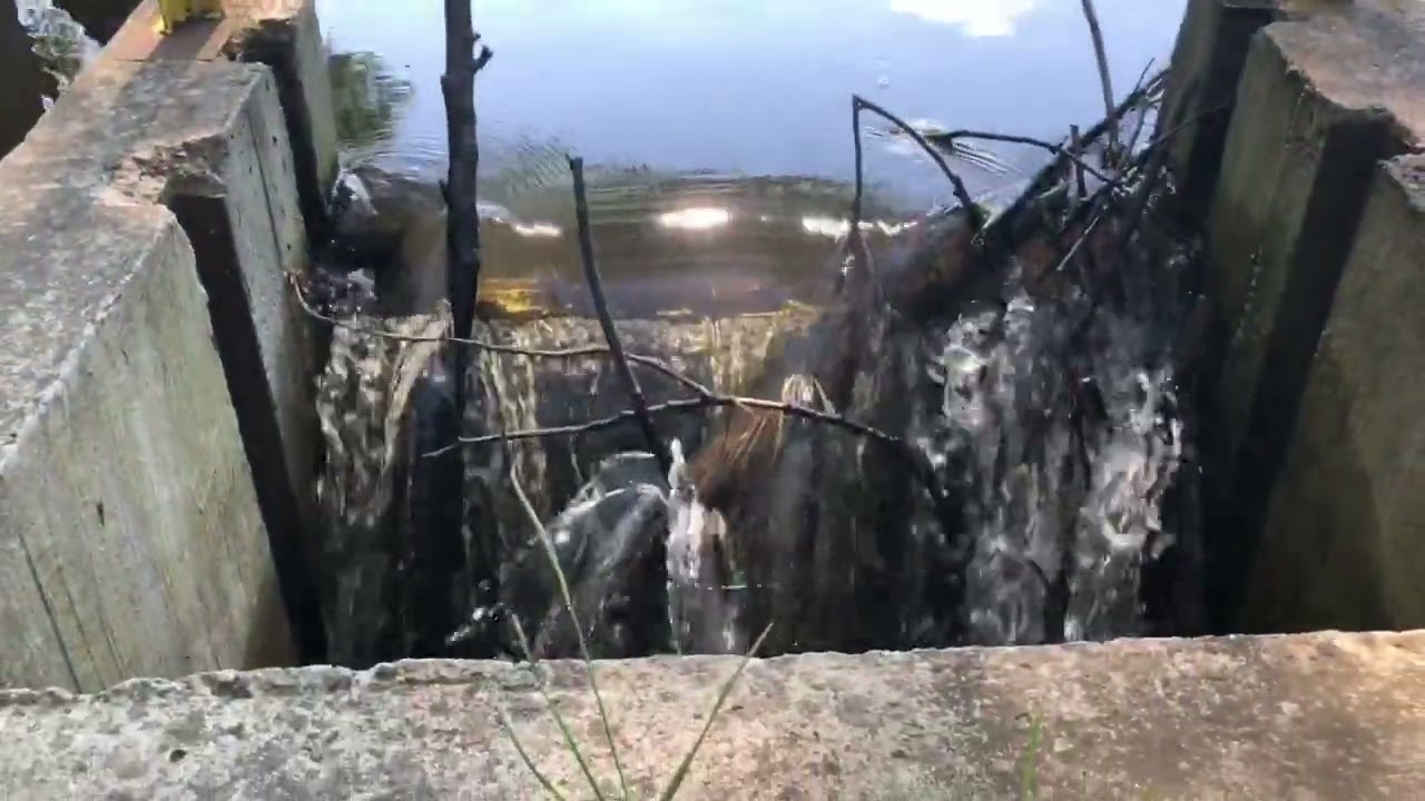 Myszk&oacute;w - Dotyk Jury