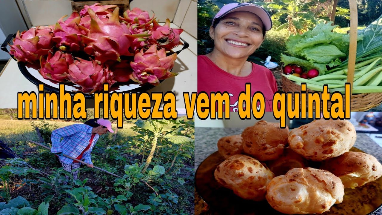 MEU PARAISO DE FARTURAS GRATIDÃO A DEUS