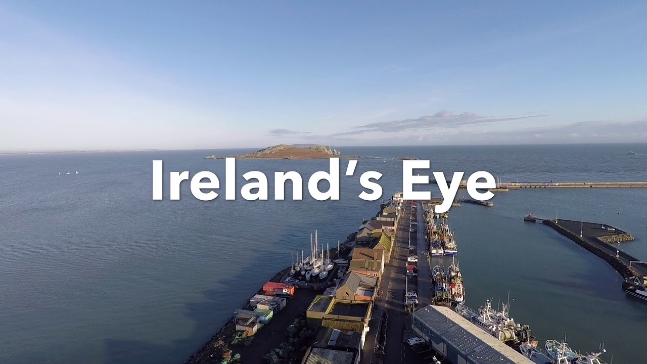 Howth Harbour & Market