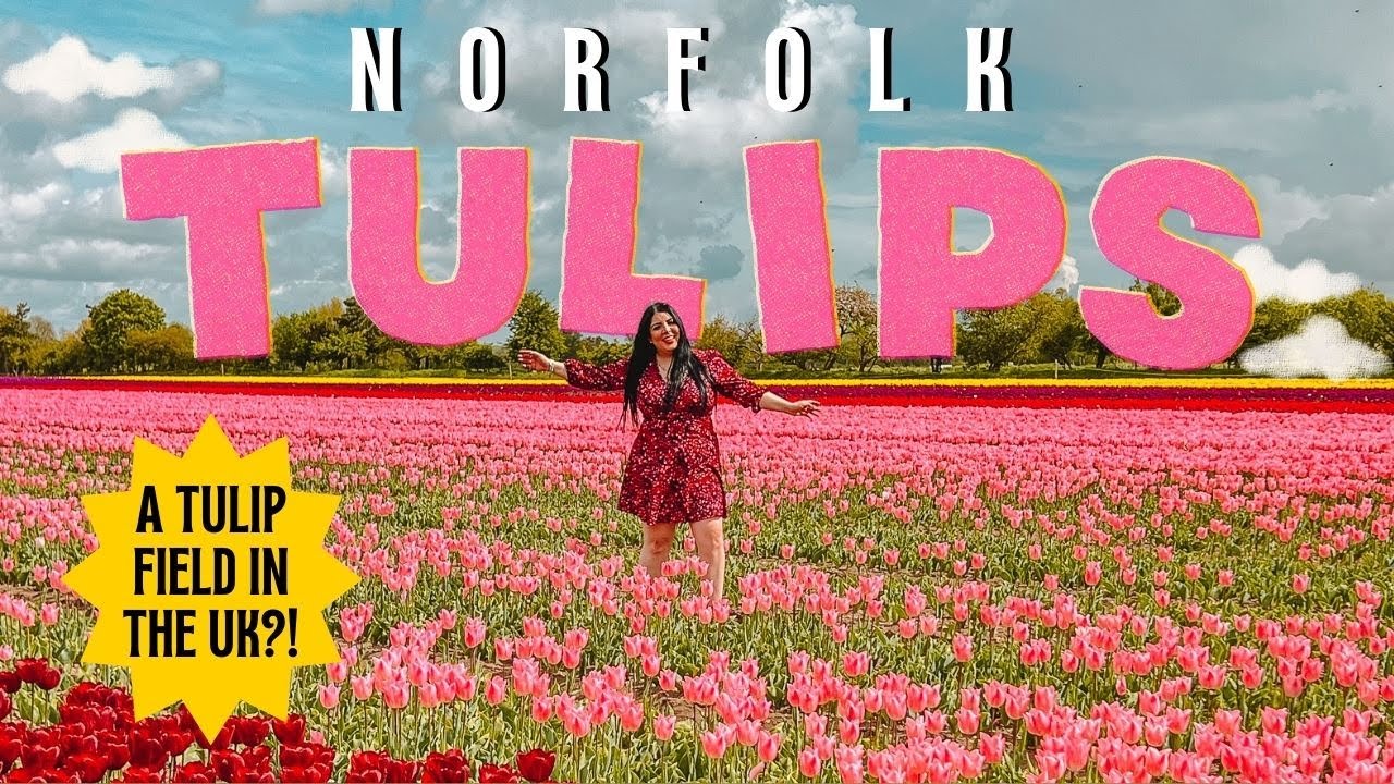 Norfolk Tulip Fields 🌷 - Walking through a GORGEOUS colourful tulip field in the U.K! 💐✨