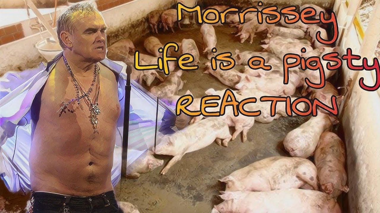 Morrissey – Life is a Pigsty - REACTION