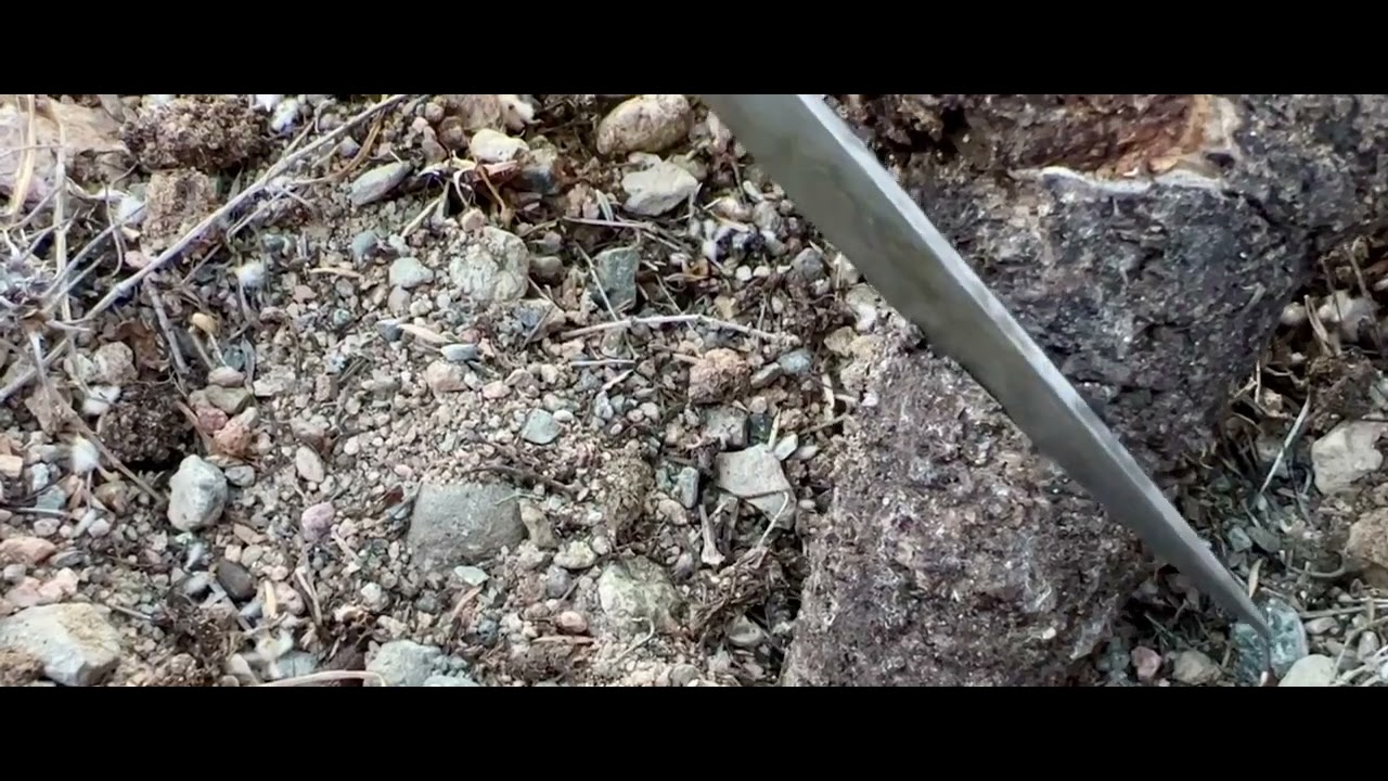 Kitre Geven otu Balı