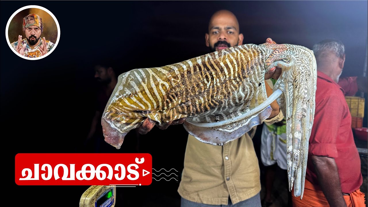 CUTTLEFISH/SQUID/CHAVAKKAD BEACH/FAMILY VLOG/KERALA BEACH/FISH MARKET/LIFE IN KERALA