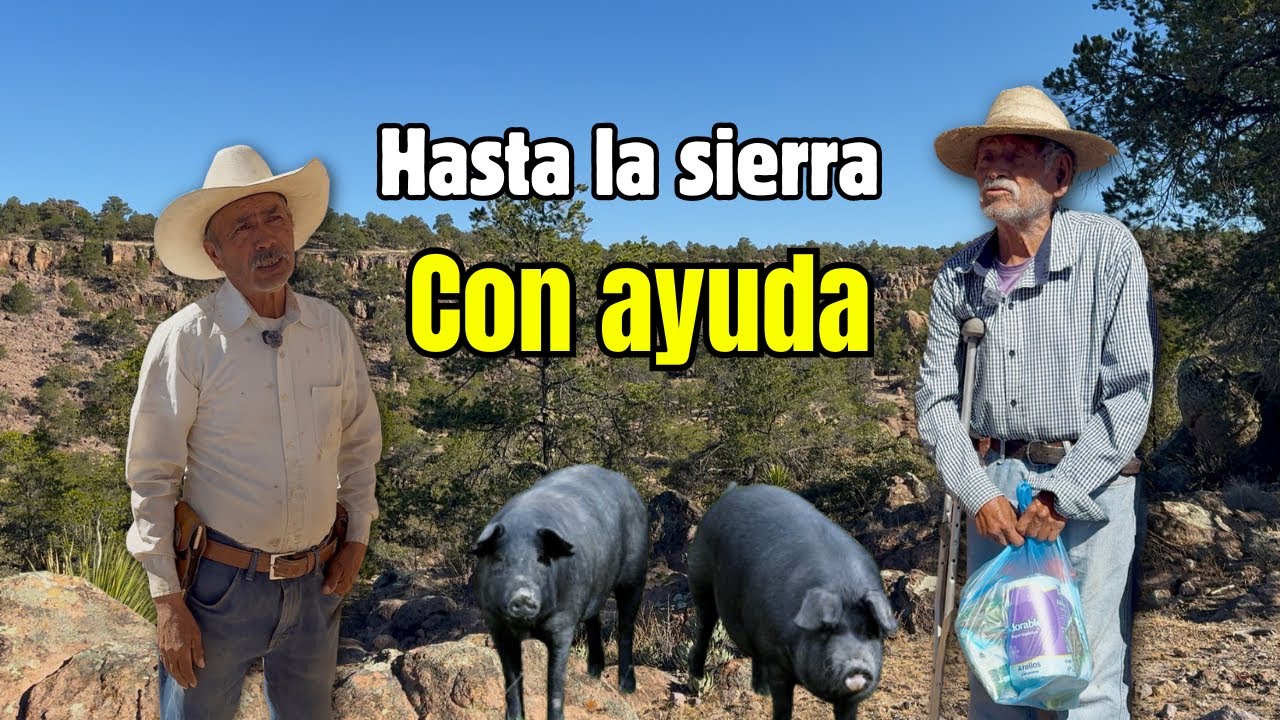 Ayudando en la sierra 🏔️ Regalamos despensas a familias necesitadas