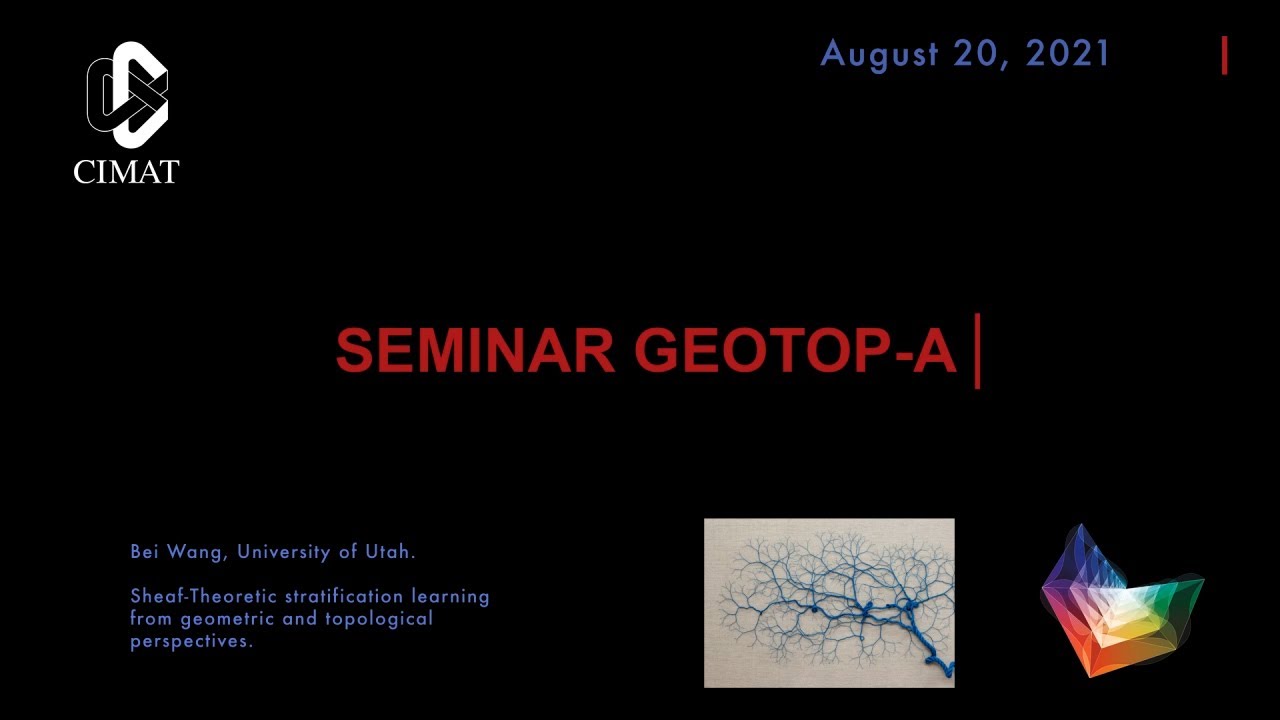 Geotop-A Seminar I Bei Wang University of Utah I Sheaf-Theoretic Stratification Learning
