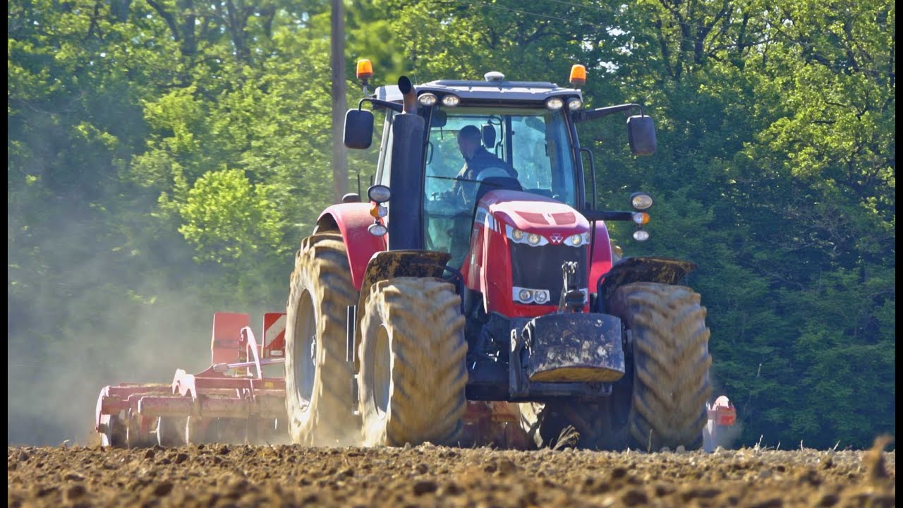 🌻 Semis de Tournesol /Massey Ferguson 7726 JOKER 5CT/New Holland TM120 KUHN MAXIMA 3🌻