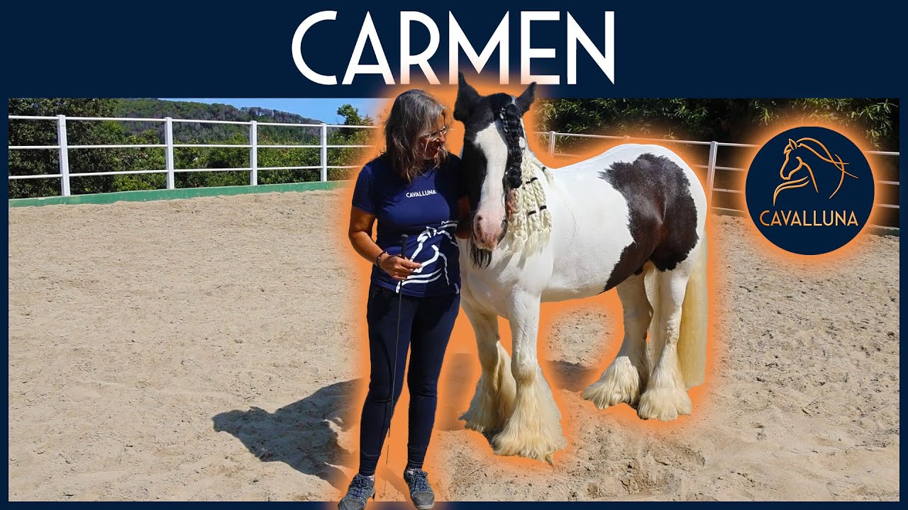 Homestory CAVALLUNA-Equipe Bartolo Messina - Teamvorstellung Carmen
