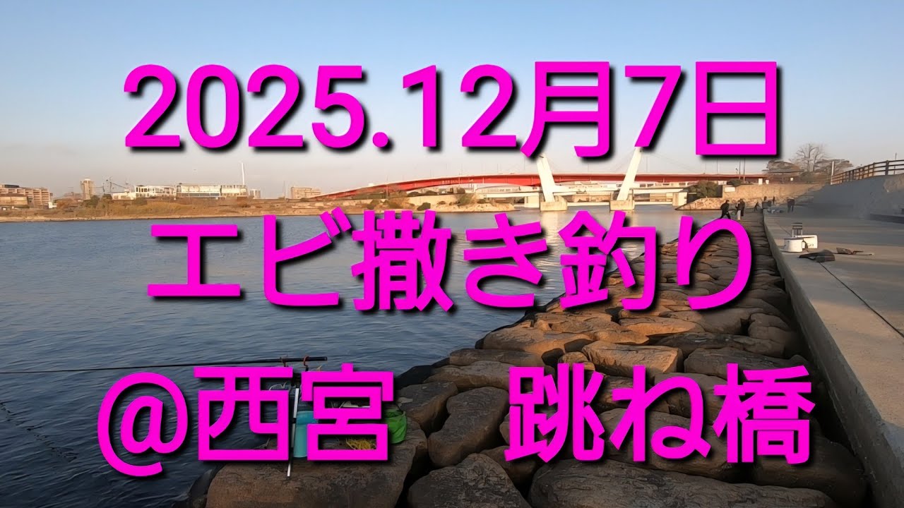 2025.12.7.　チヌが釣れた！　そしてサバ(笑)@西宮浜　跳ね橋