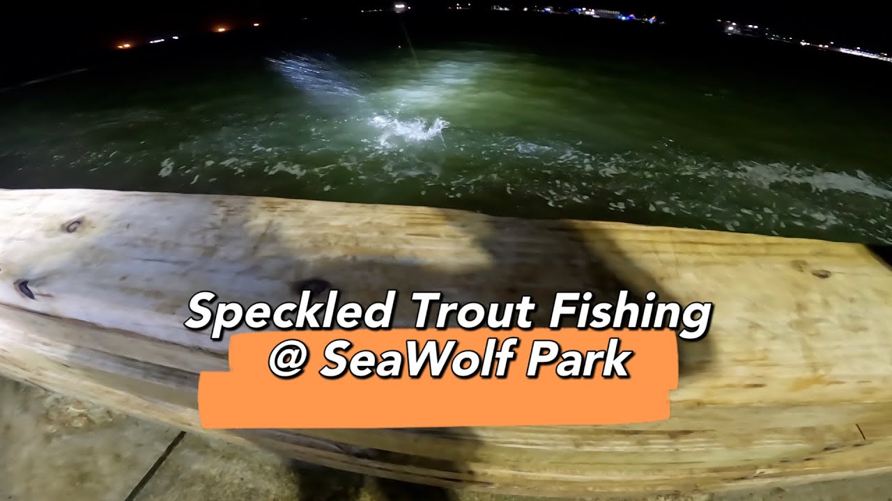 Summer #speckledtrout #fishing at #seawolfpark Galveston