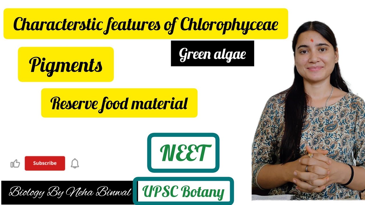 Characterstic features of Chlorophyceae,reserve food & pigments #neet #biology #upsc #botany #viral