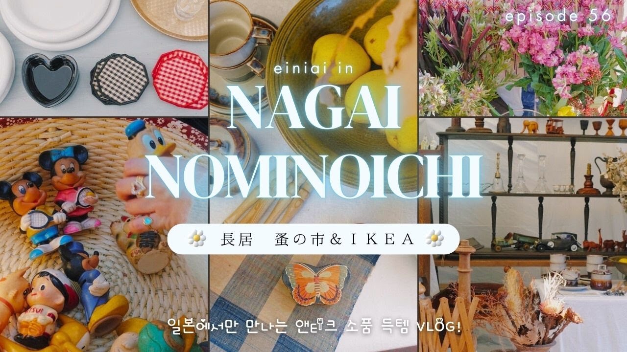 【大阪】長居蚤の市とIKEA：秋晴れのアンティーク散歩とクリスマスグッズハンティング🎄