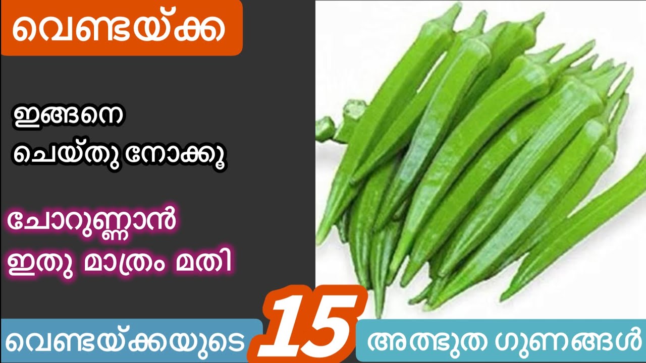 2നാടൻ വെണ്ടയ്ക്ക രുചിക്കൂട്ടുകൾ//Kerala Traditional Ladies Finger Recipes/വയറുനിറയെ ചോറുണ്ണാൻ ഇതുമതി