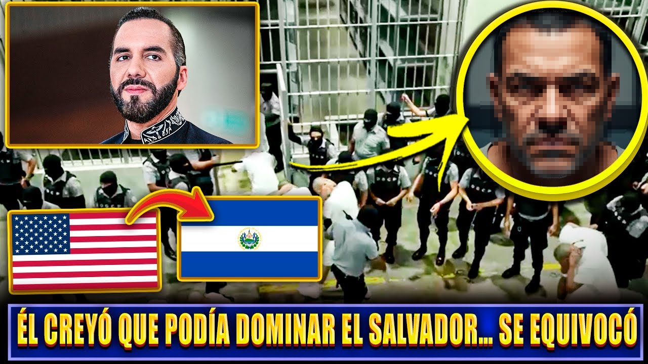 🚨 Bukele DISMANTLES Gang of Criminals DEPORTED from the USA Straight to CECOT