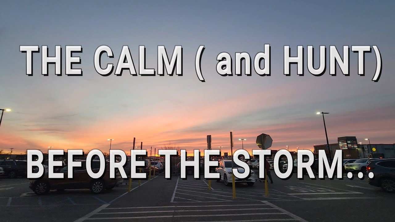WALMART, TARGET and DOLLAR TREE HUNT BEFORE THE STORM!