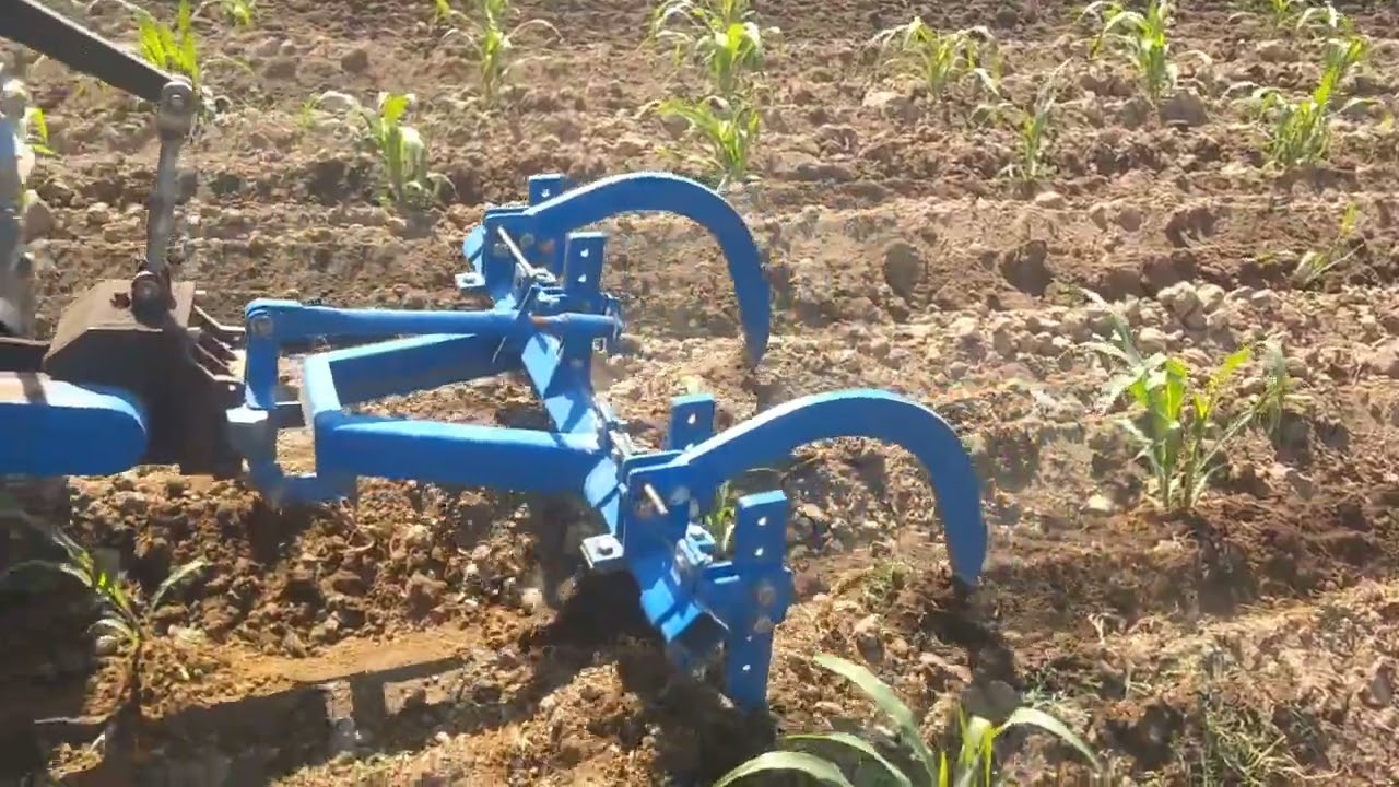 Trabajando en el maíz, con minitractor mekatech!!