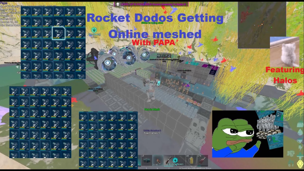 Online Meshing Rocket Dodos With PAPA  | Smalls Takeover Part 1