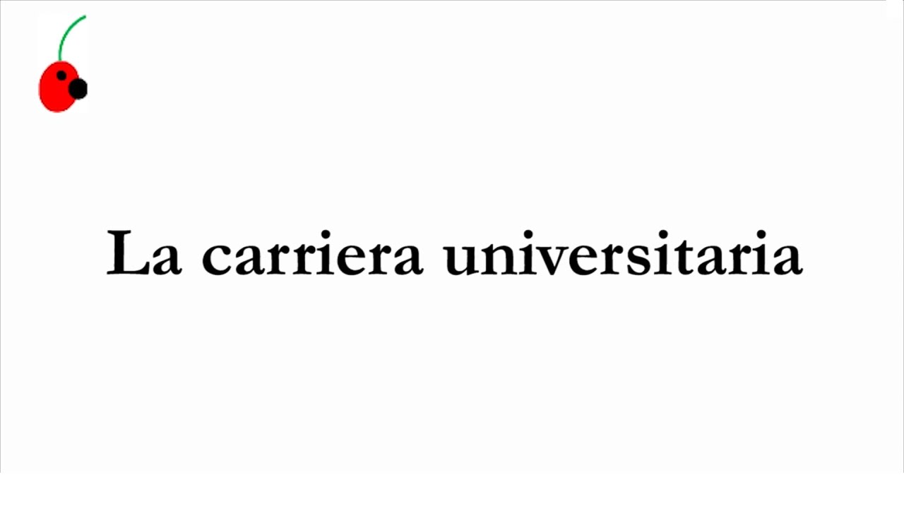 carriera universitaria