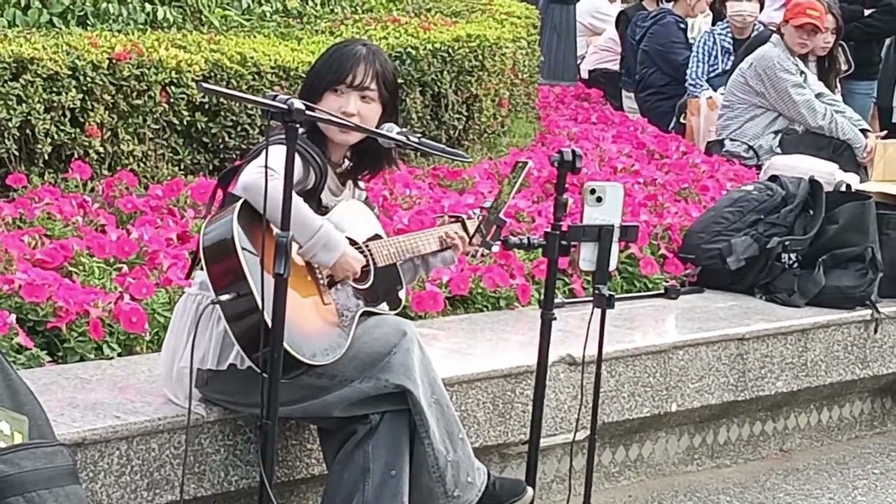 Hakubi【嘉義文化公園音樂會】03 | 20260131