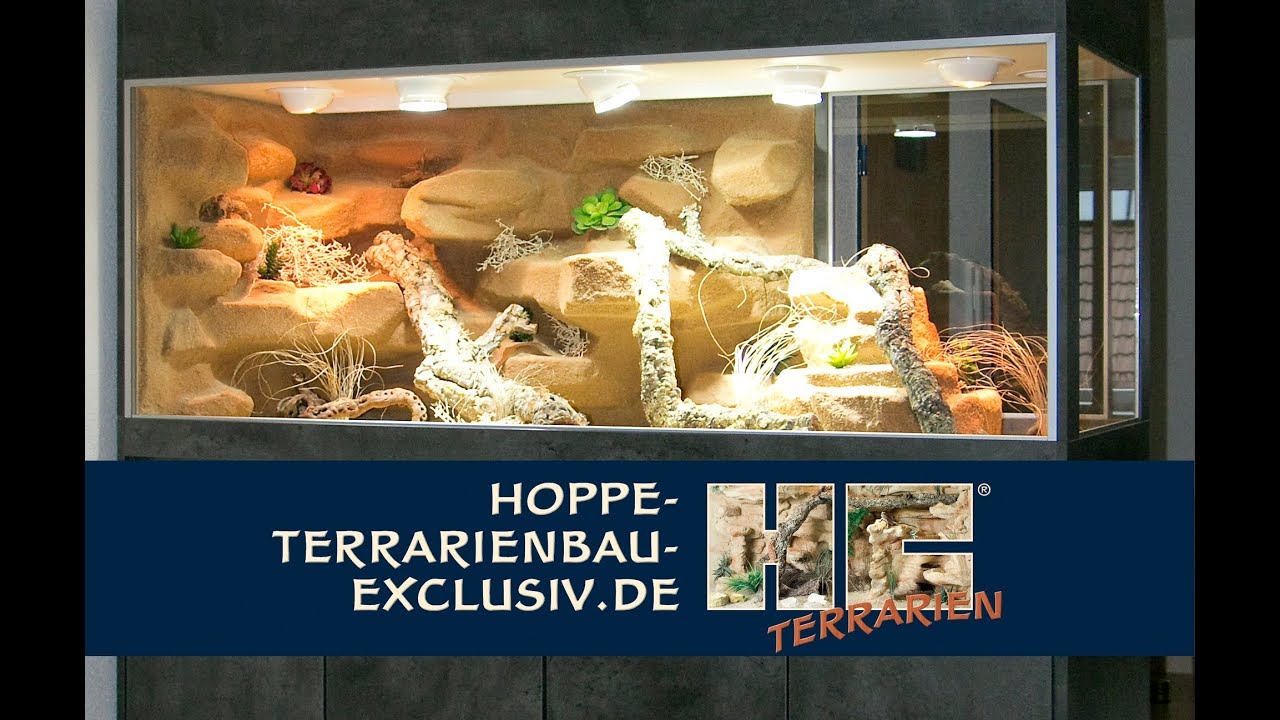 Terrarien als Raumteiler