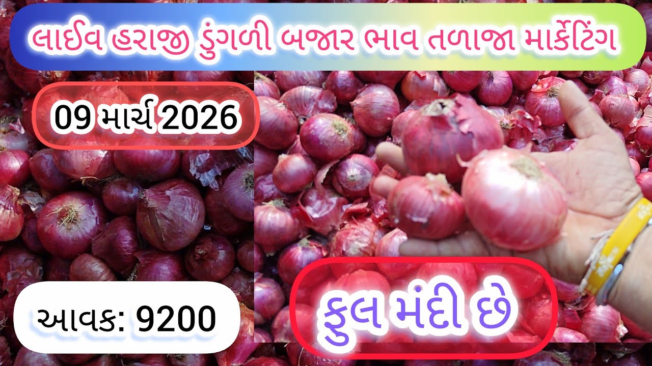 09 .03= 2026 | ડુંગળી બજાર ભાવ તળાજા માર્કેટિંગ યાર્ડમાં | ડુંગળી બજાર ભાવ મંદી છે | 