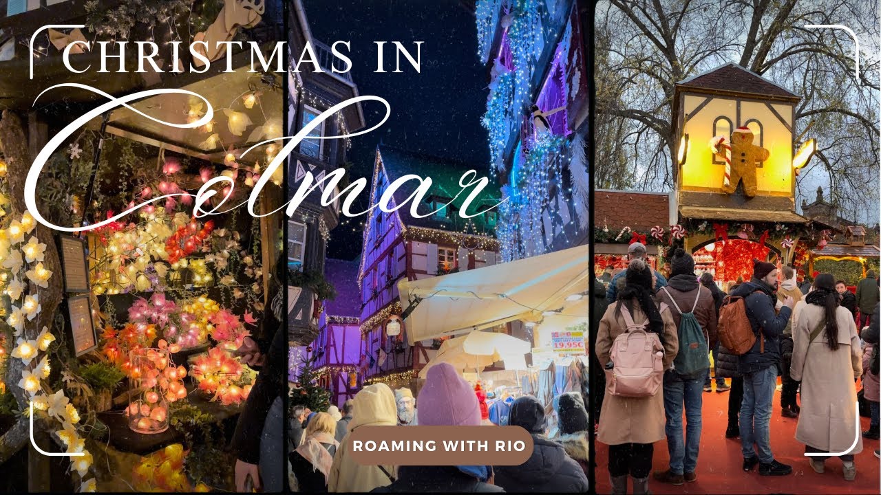 【世界で１番可愛い】🇫🇷🎄コルマールのクリスマスマーケット