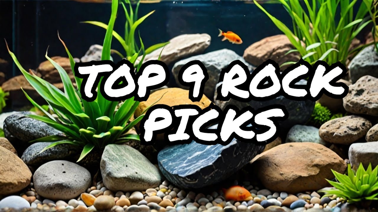 Aquarium Rocks: The 9 Best (and Coolest) Options