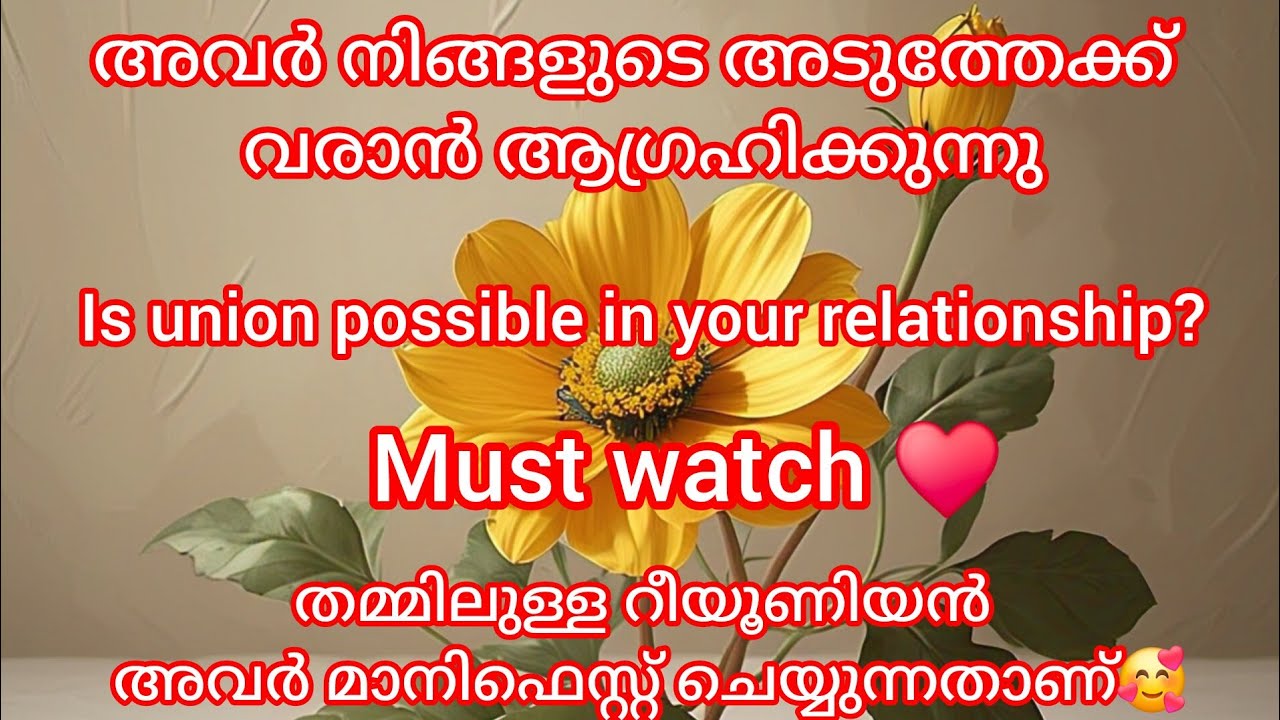 നിങ്ങളും അവരും തമ്മിലുള്ള യൂണിയൻ സംഭവിക്കുന്ന സമയത്ത് ആയിരിക്കും ഈ ഒരു വീഡിയോ  അടുത്തേക്ക് എത്തുക