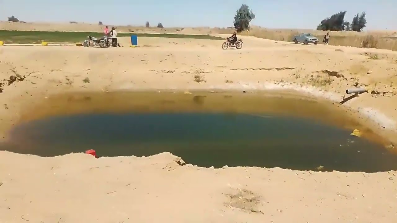 5فدان نخيل صعيدى للبيع ارض جمعيه ملك حيازة زراعيه 