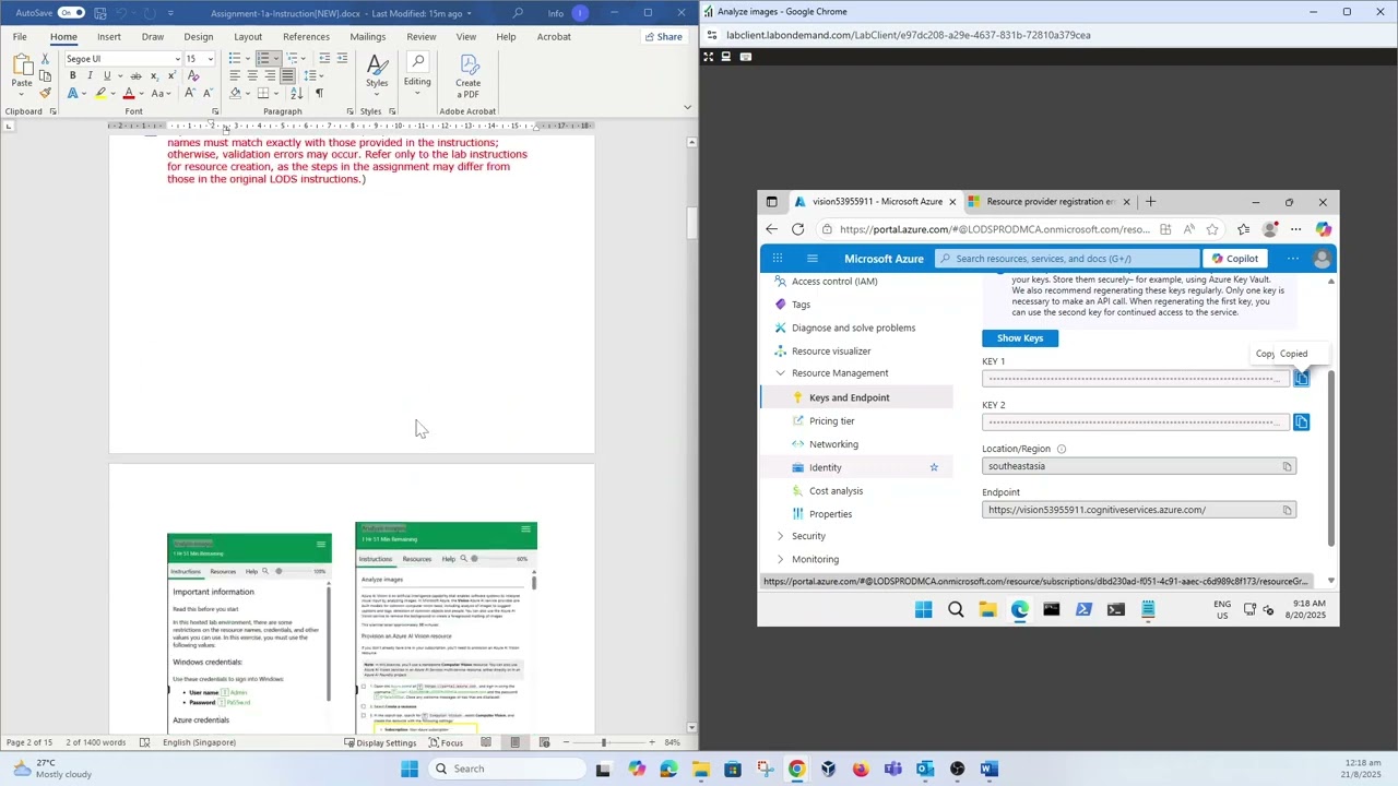 PDDS DLL Assignment 1a Analyze images in Vision Studio