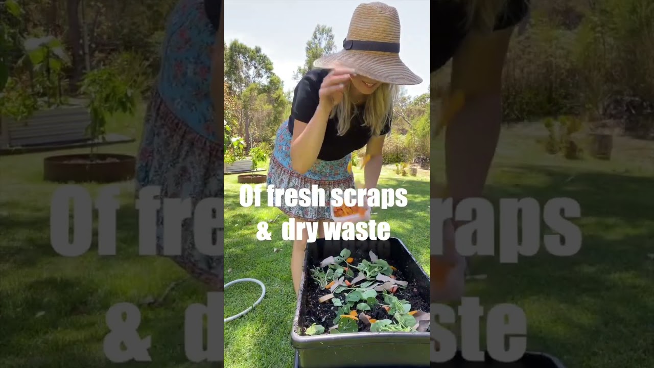 WORM FARM SET UP