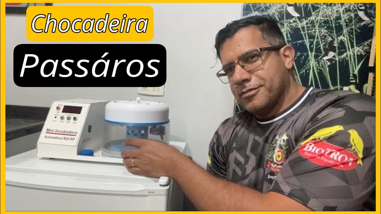LANÇAMENTO! CHOCADEIRA PARA OVOS DE PÁSSAROS