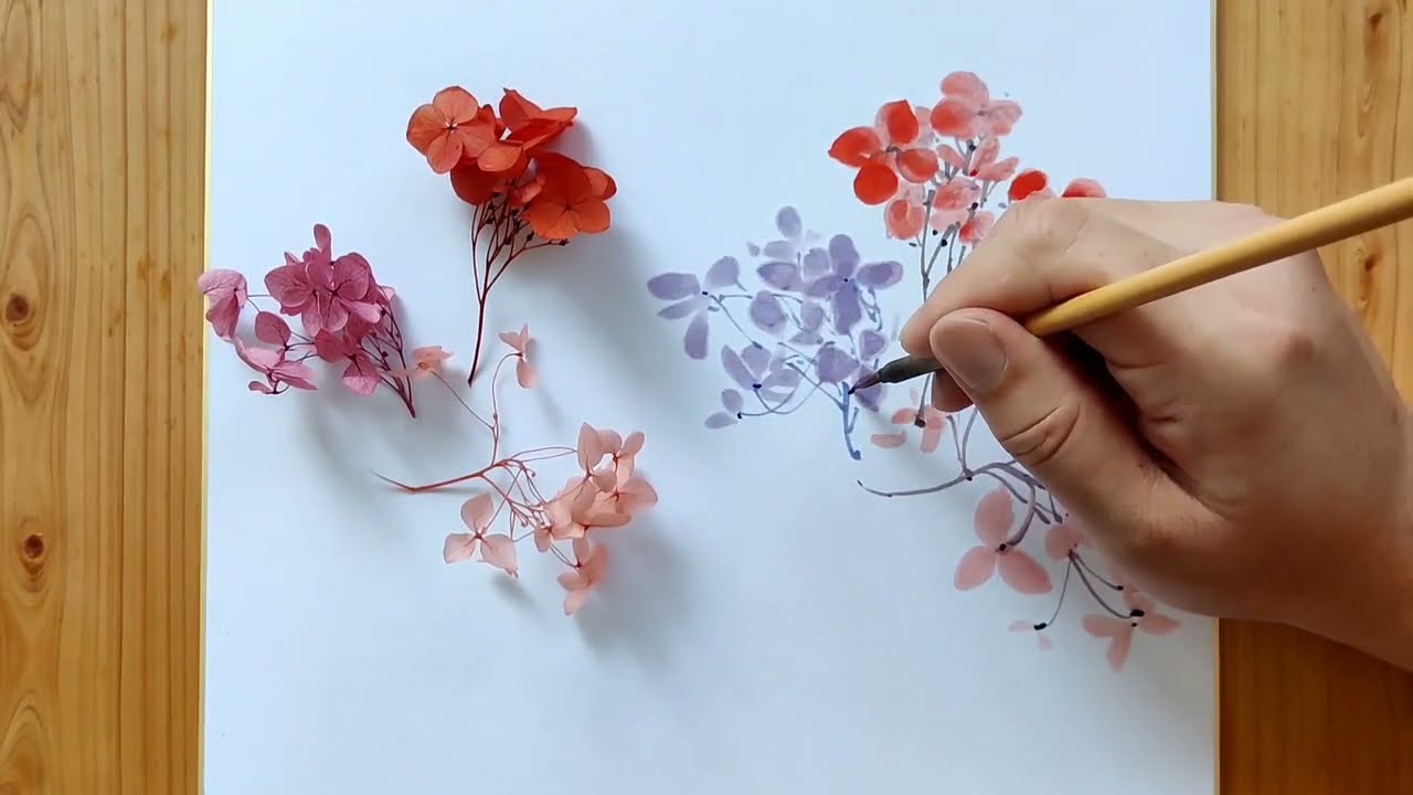 《永生花》畫不凋繡球花｜水墨｜彩墨｜水墨画 ｜수묵화｜ink painting ｜【墨墨夫婦momofufu】