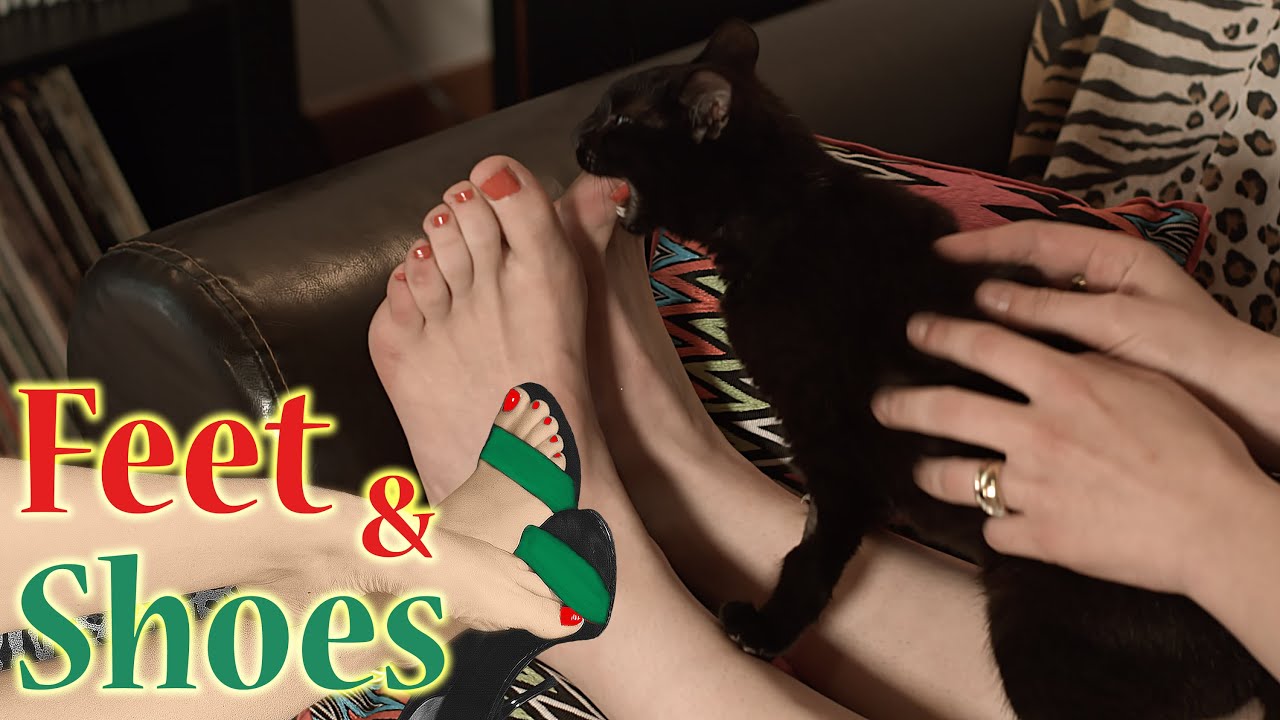 Cat playing with woman feet [4K Ultra HD]
