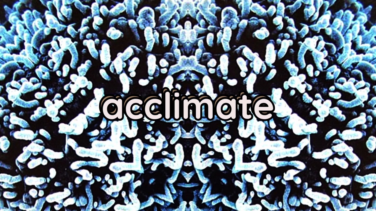 Unknown Artist - acclimate (official audio)