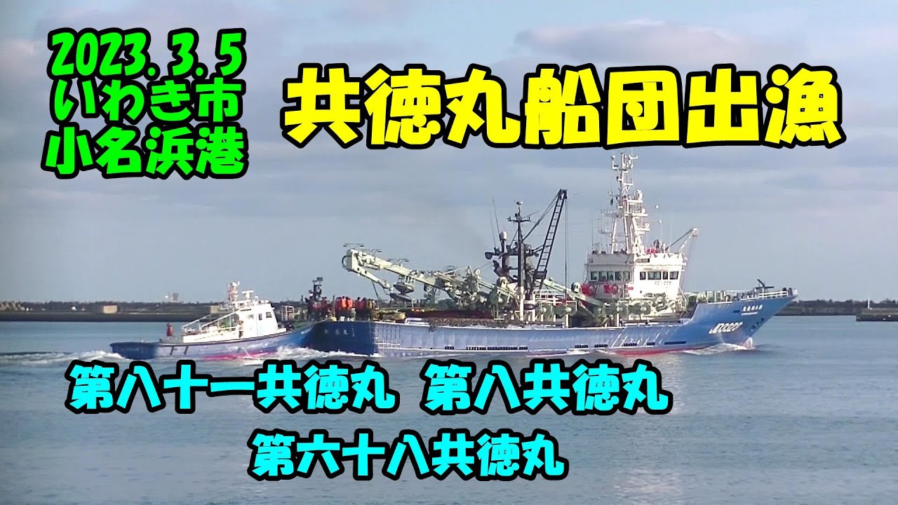2023.3.5小名浜港 共徳丸船団出漁