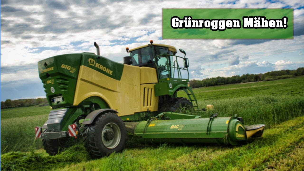 Krone Big M 450 im Gr&uuml;nroggen Einsatz! || Gr&uuml;nroggen M&auml;hen || JP Agrar