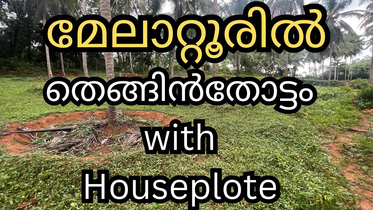 തെങ്ങിൻതോട്ടംwith HousePlote മേലാറ്റൂരിൽ