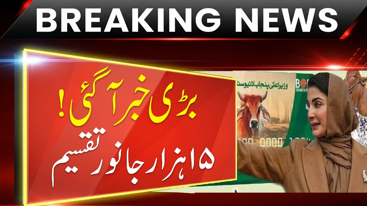 Breaking news.. Punjab government's big announcement for widows | GN HD