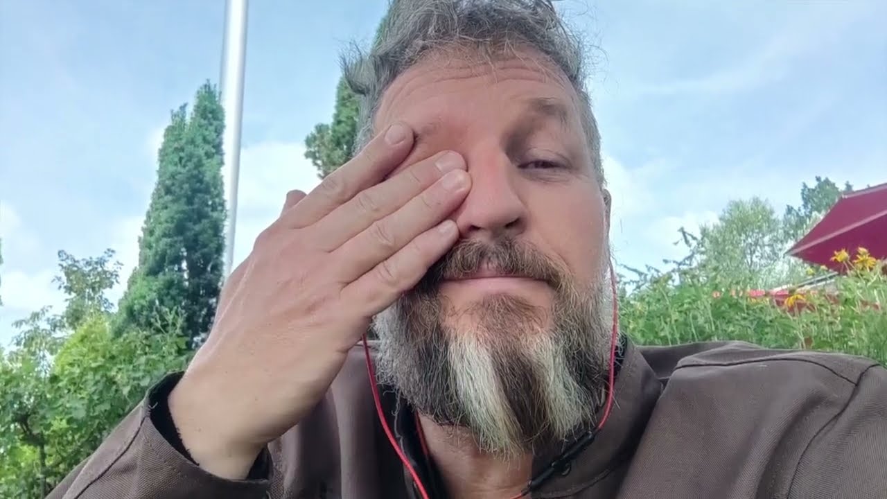 Part 9 - Vienna Calling - 