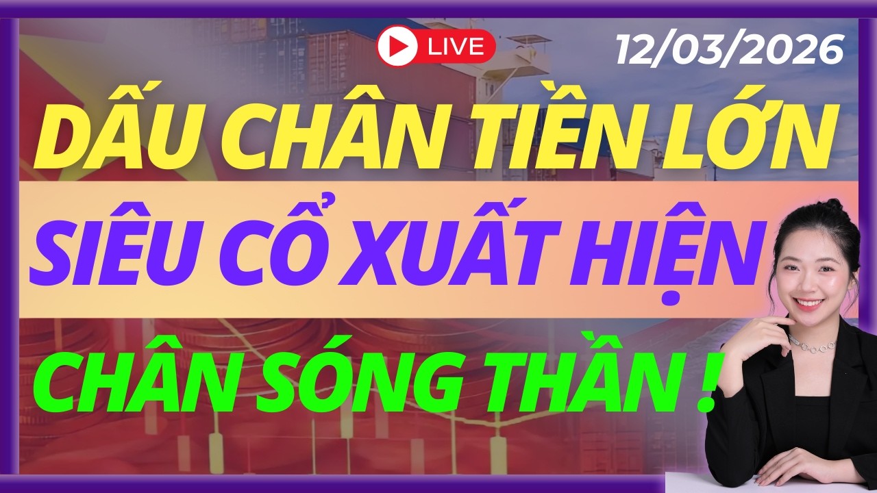 DPM DCM VCG Vụt Tím, Đi Tìm Đỉnh Cao Mới  | LIVESTREAM | DAILY