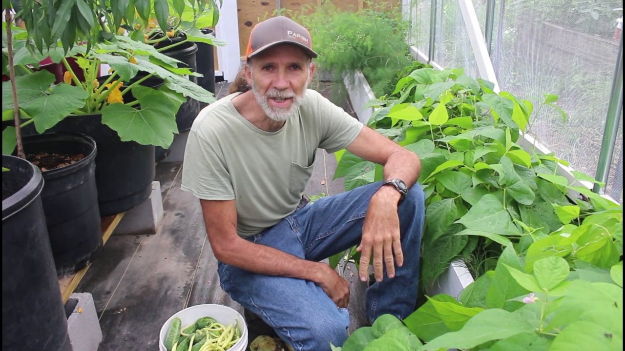Amazing GREENHOUSE Plants |VISIT the King Dome | GreenhouseTOUR