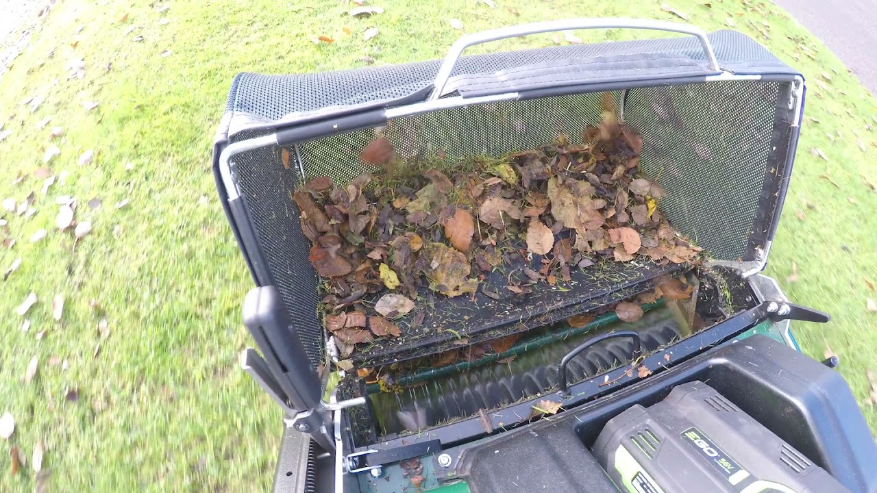 Autumn Leaf collection with the Allett Stirling 51 Battery Cylinder Mower Powered by Ego