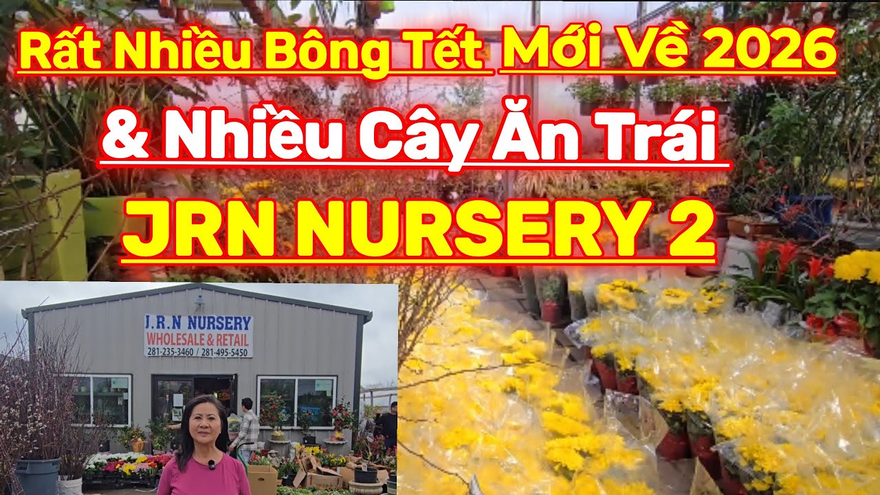 Nhiều Bông Tết Mới Về & Cây Ăn Trái Ở Tiệm JRN NURSERY 2....